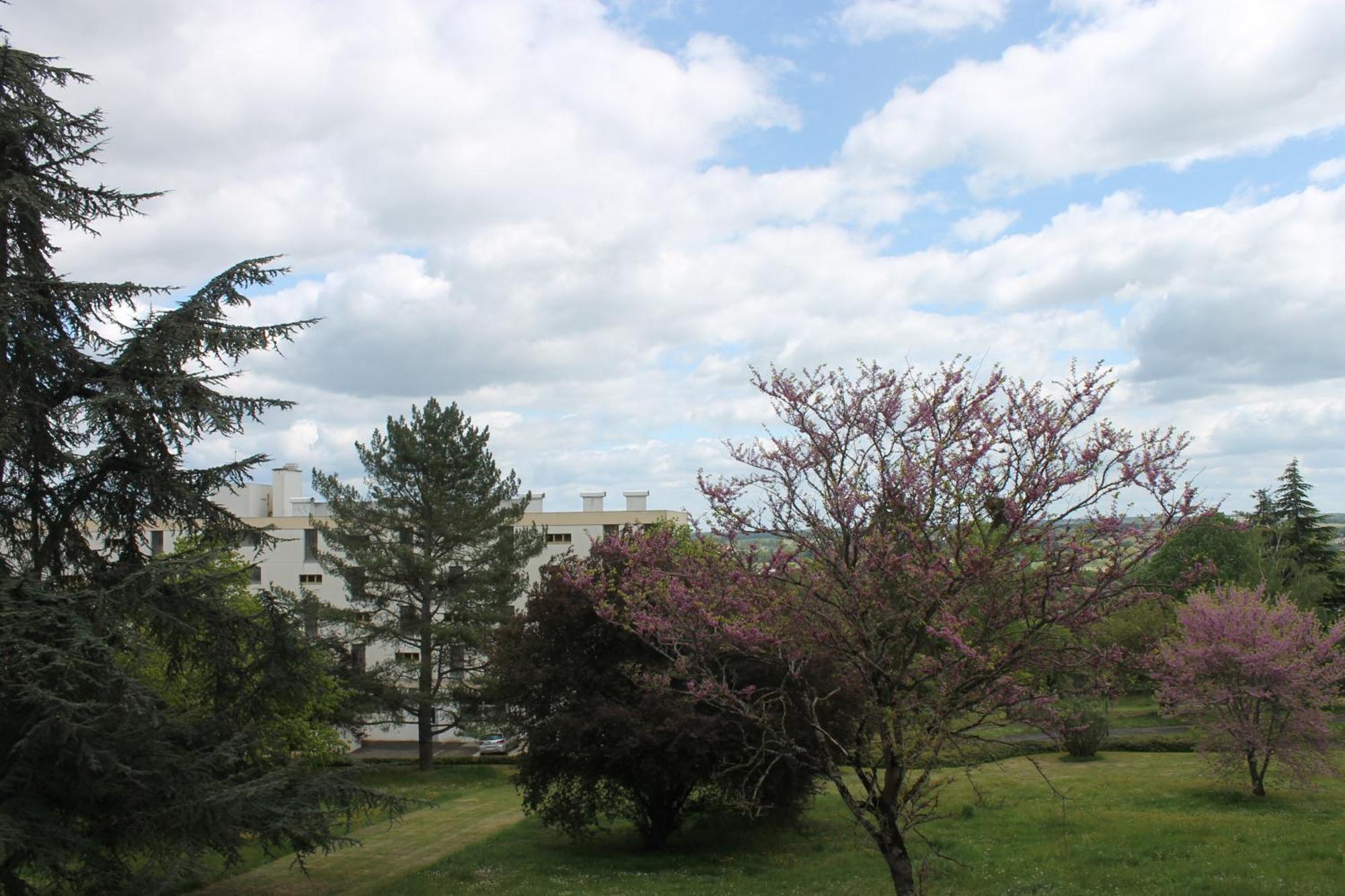Studio Le Cosy Apartman Montrichard Kültér fotó